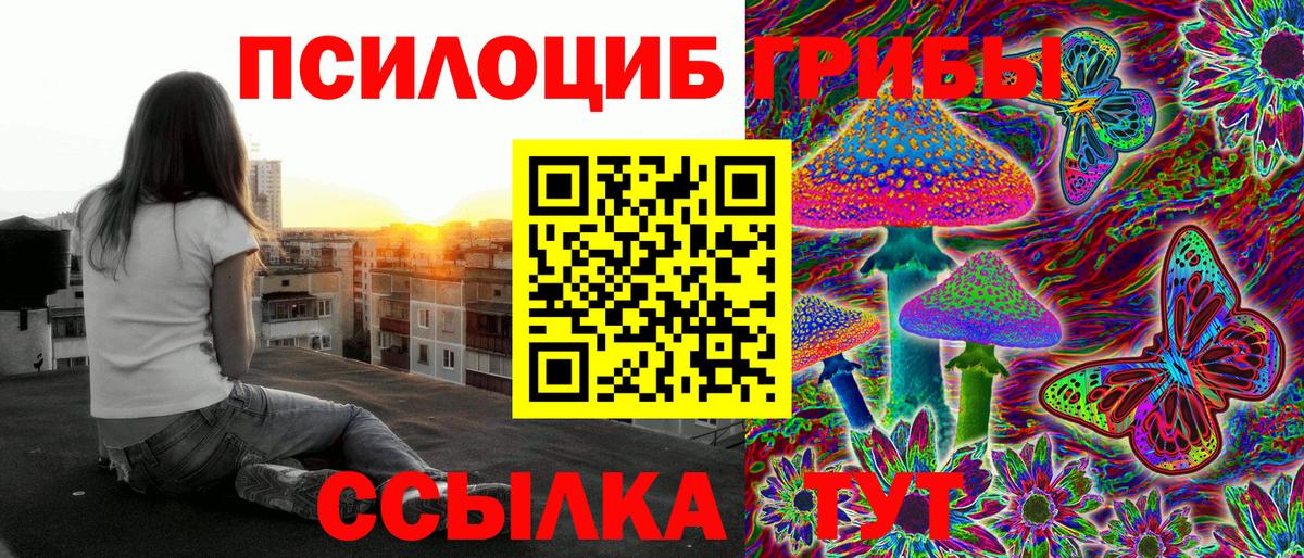 Красноярск  Псилоцибиновые грибы GOLDEN TEACHER  купить наркотик  Вход с VPN 
