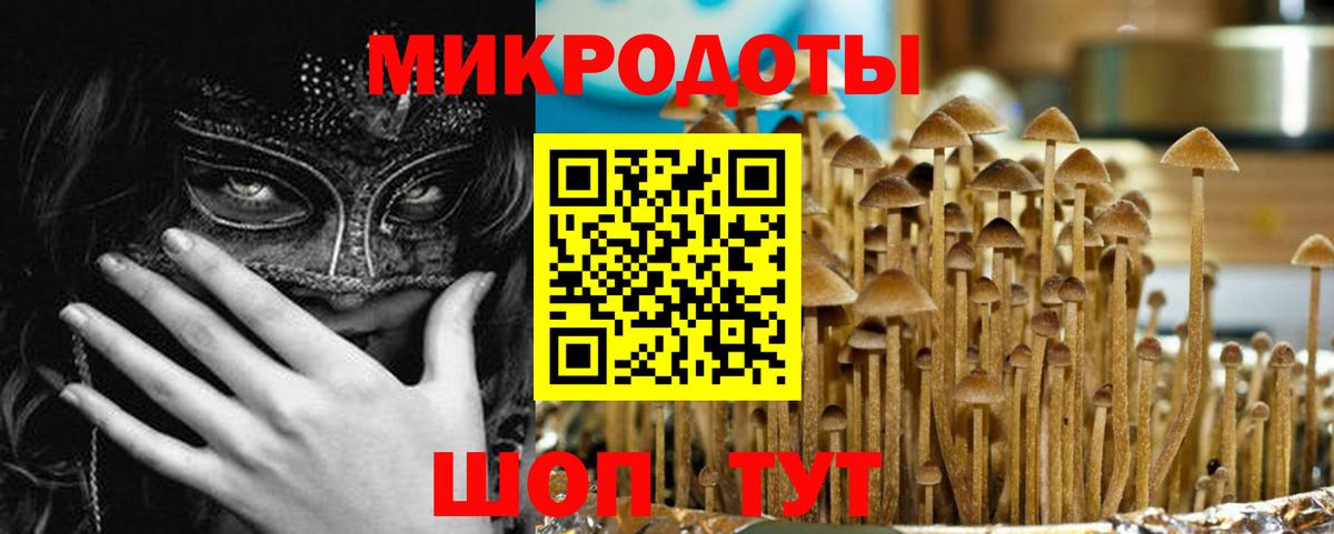 Галлюциногенные грибы GOLDEN TEACHER Красноярск