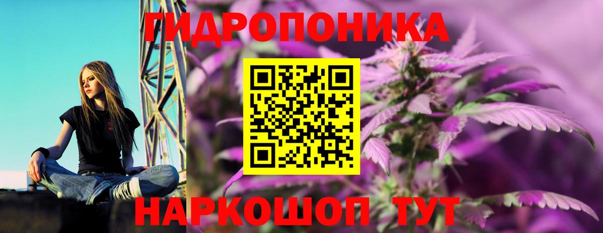 Бошки марихуана ГИДРОПОН Красноярск